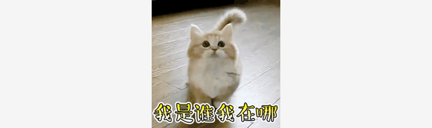 我是誰(shuí)我在哪,來(lái)自靈魂的拷問(wèn) 我是誰(shuí)我在哪,來(lái)自靈魂的拷問(wèn)